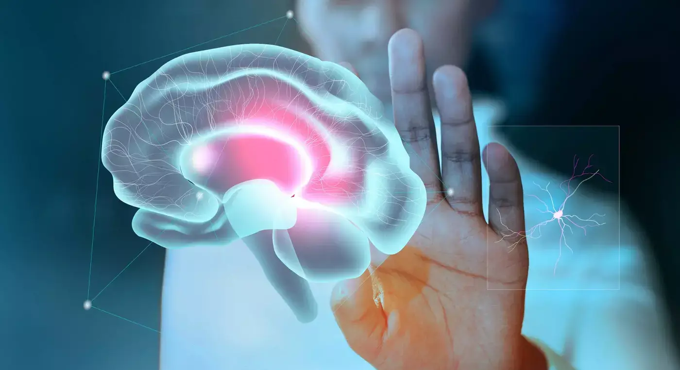Curso: Screening Cognitivos y el trabajo con demencia: Claves prácticas en la intervención