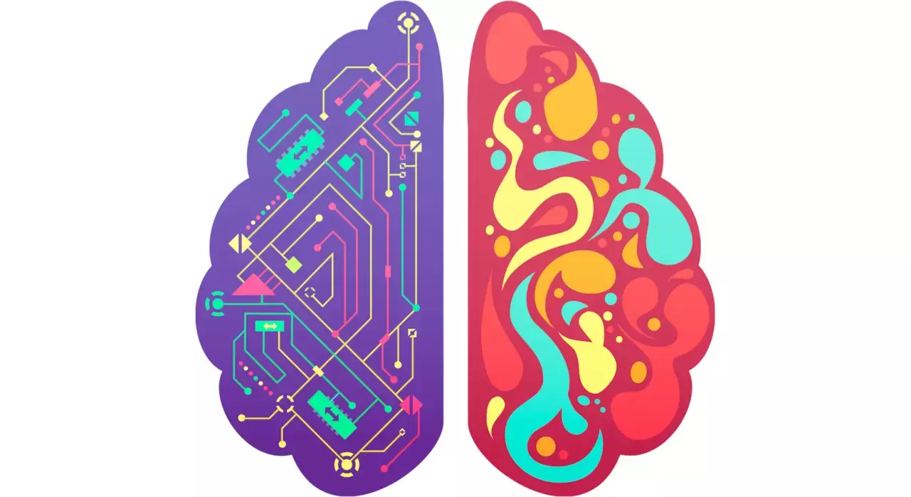 ¿Somos o no somos Complejamente Neurodiversos?