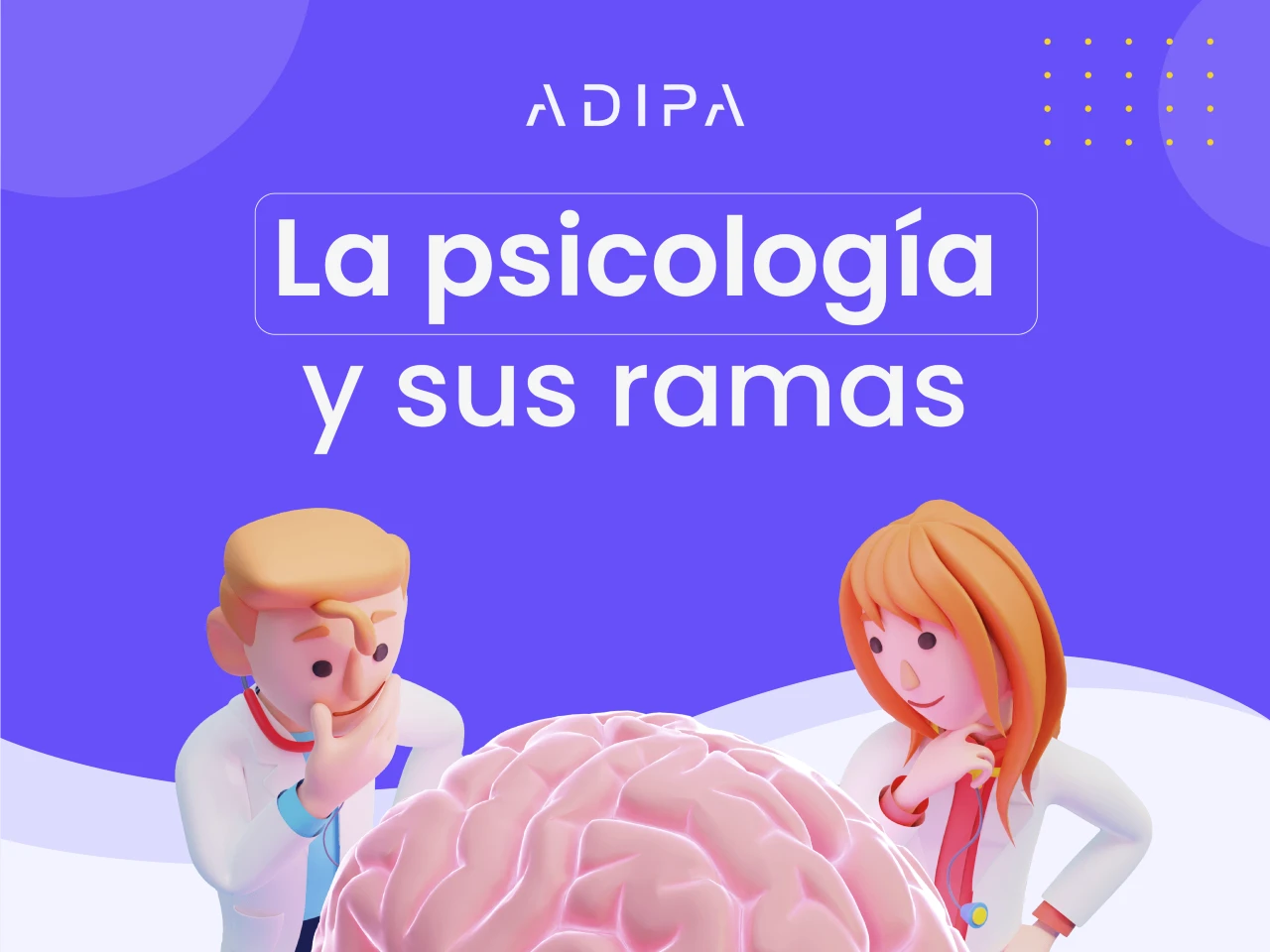 La psicología y sus ramas