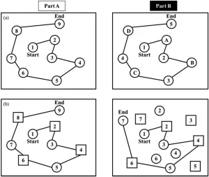a two versions of the trail making test tmt the original trail making test tmt (1)