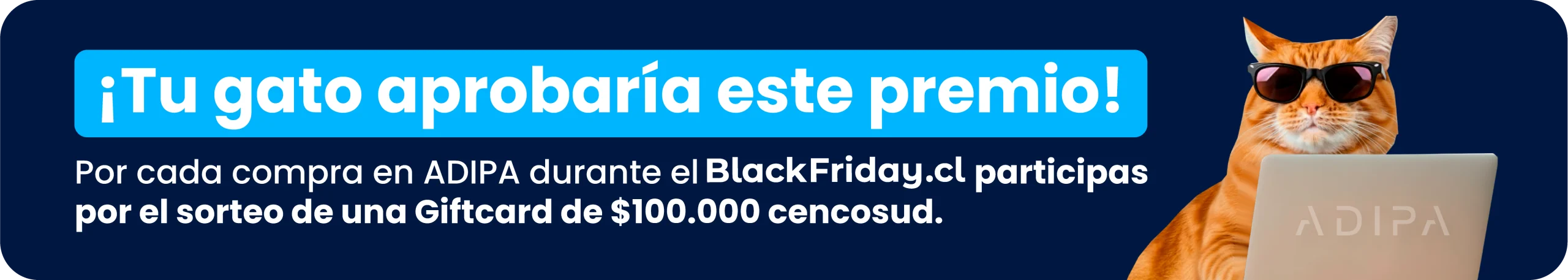 banner sitio cursos 2025 adipa 1.2 