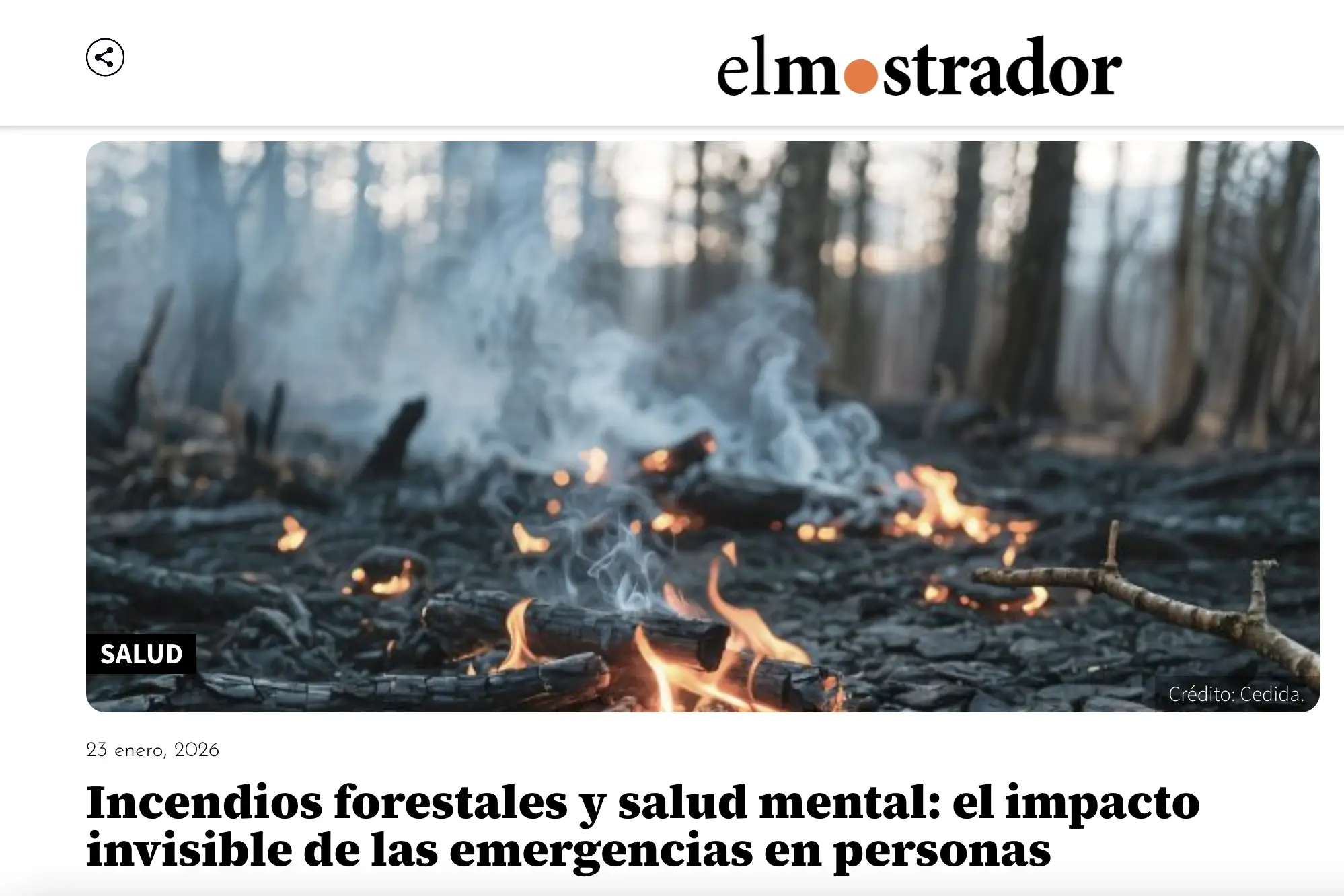 captura de pantalla 2026 01 27 a la(s) 15.55.30 (2)