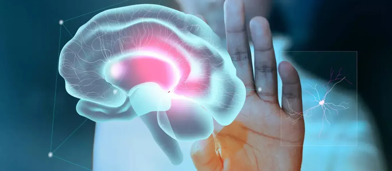 Curso: Screening Cognitivos y el trabajo con demencia: Claves prácticas en la intervención