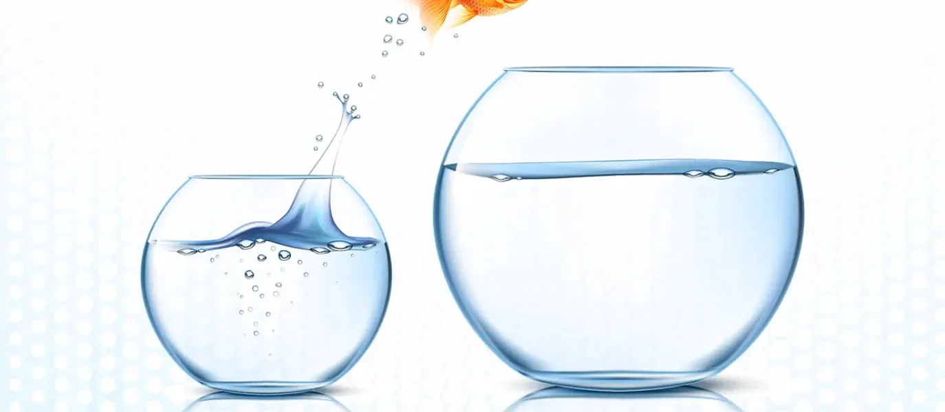 Curso: ABAS-II: Aplicación, tabulación, revisión de casos clínicos y redacción de informes