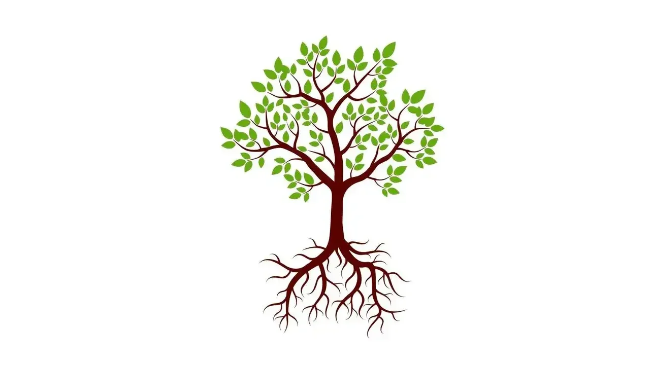 Test del Árbol: Guía completa para su aplicación e interpretación