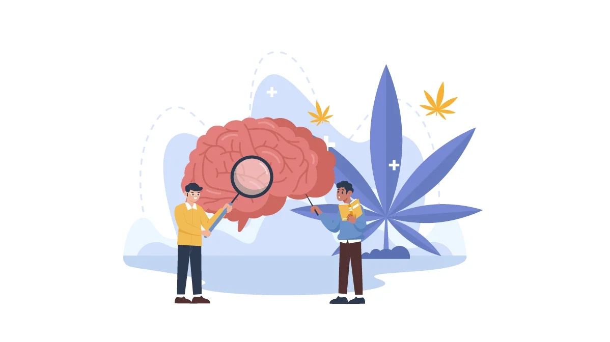 Efectos del consumo de cannabis en el perfil cognitivo: evidencia desde WAIS-IV