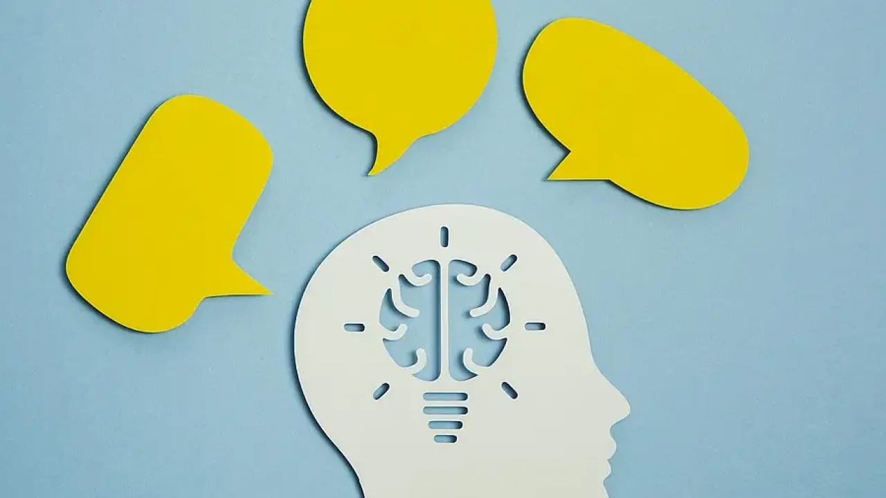 ¿Qué son las funciones cognitivas y cómo se clasifican?