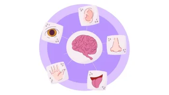 Experiencia sensorial, identidad y desempeño ocupacional en la adultez