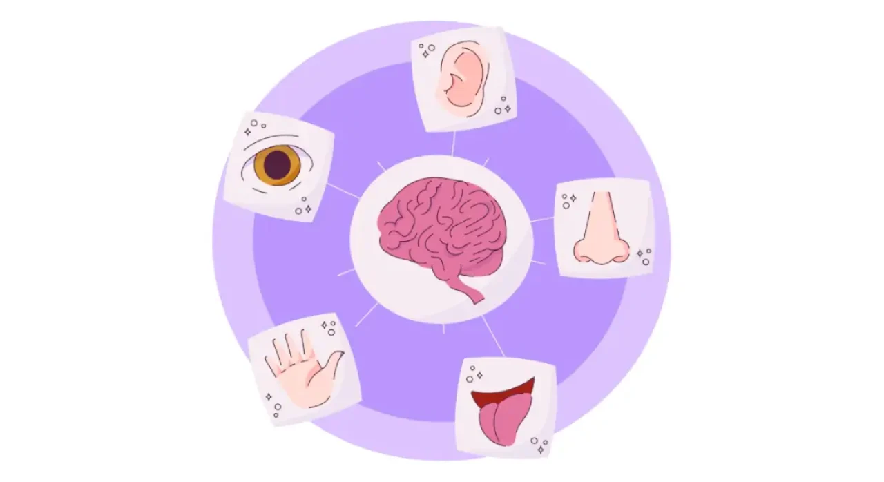 Experiencia sensorial, identidad y desempeño ocupacional en la adultez